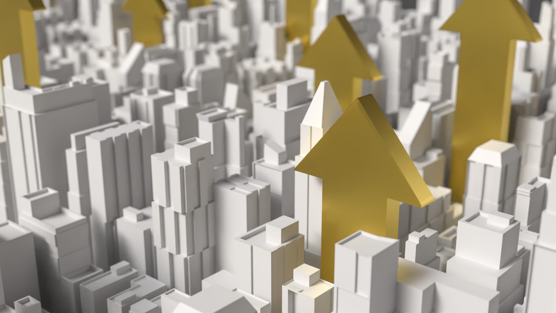 Angebote von Manfred Schenk: Von der Standortanalyse bis zur Objektverwaltung